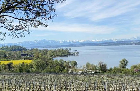 Ferienwohnung Neubacher - Foto 19