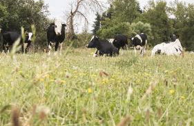 Apartamentos Turísticos Real Valle Ezcaray - Foto 113