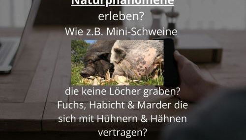 Kleine einzigartige Ferienwohnung auf dem Bauernhof, direkt in der Natur mit Blick auf Schloss Braunfels - Foto 4