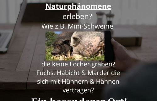 Kleine einzigartige Ferienwohnung auf dem Bauernhof, direkt in der Natur mit Blick auf Schloss Braunfels - Foto 4