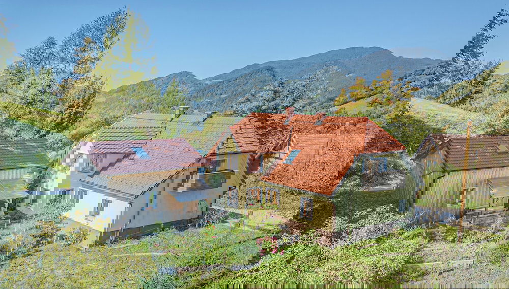 Farmhouse Blackberry Pool&wellness - Foto 1