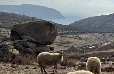 Kato Spiti, an idyllic retreat, Mykonos - Photo 22