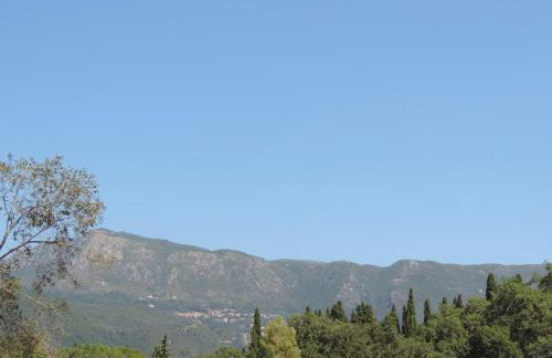 Alexandra Spingou Apartments - Foto 50