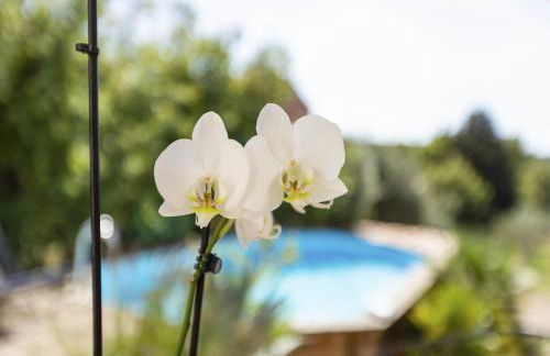 Holiday Home in Brignoles with Private Pool - Foto 27