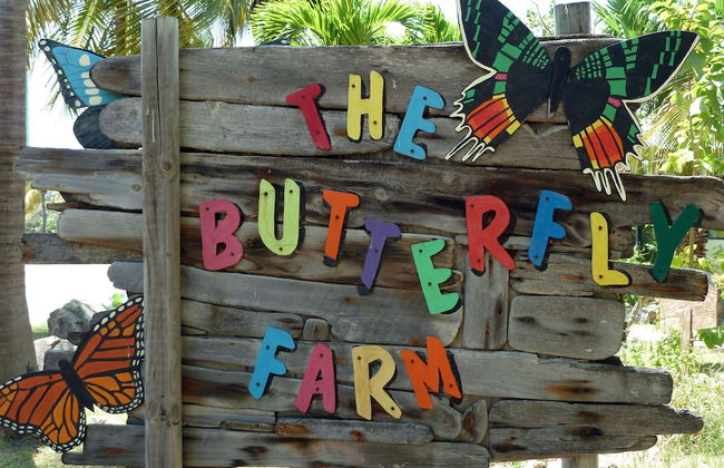 Bubali Bliss Studios & Villas - Foto 60