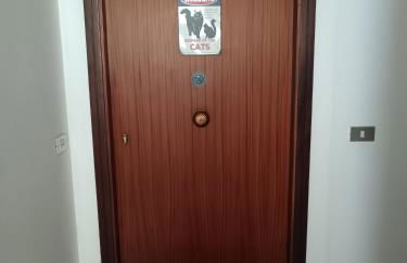 Ilgattonero - Foto 41