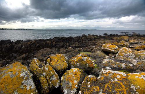 Tern Cottage - Foto 14