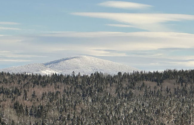 Birch Haven Tree House Directly ON Trail - Photo 9