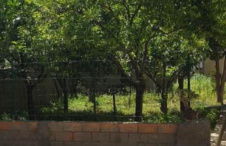 La Casa di Jole - Foto 18