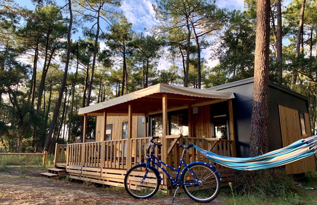 Premium Cocoon - Foto 18