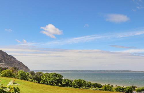 3 Trem Y Dolydd - Foto 27