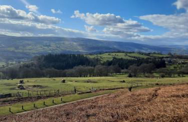Greenways at Coed Cae Farm - Photo 51