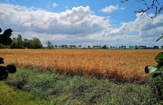 Landhaus Kaisershof - Foto 27