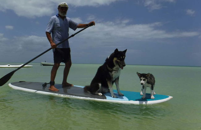 Paddleboard Tour in Holbox - Photo 1