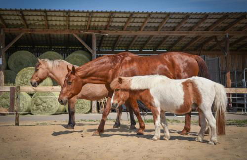 Huxfeld-Hof - Landlust - Foto 21