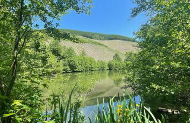 Ferienappartements inTOuR - Foto 68