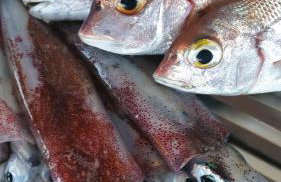 Apartments " Happy villa " - Photo 16