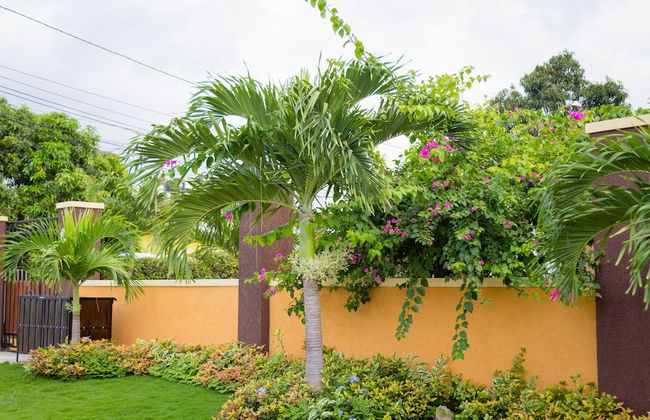 Centrally Located Guest Apartments III - Photo 16