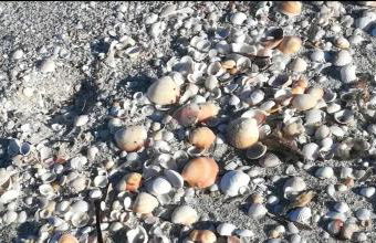 Ila La Caletta - Photo 21