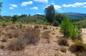 Quinta D' LuzArcoIris - Foto 19