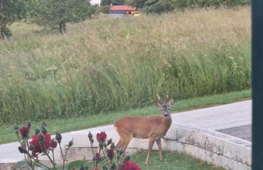 Casa Solaris - Foto 57
