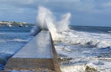 penty vero - Foto 28