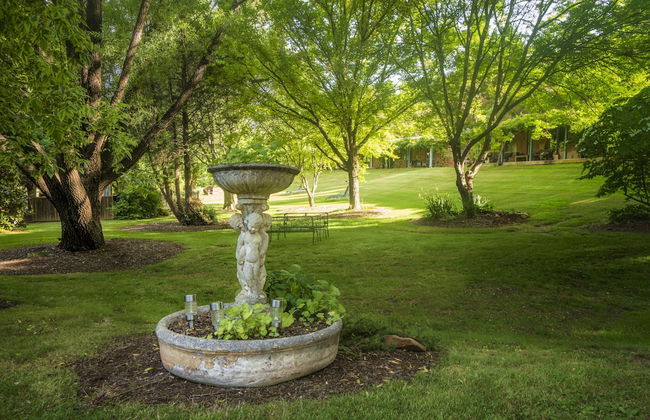 Bright Mystic Valley - Foto 32