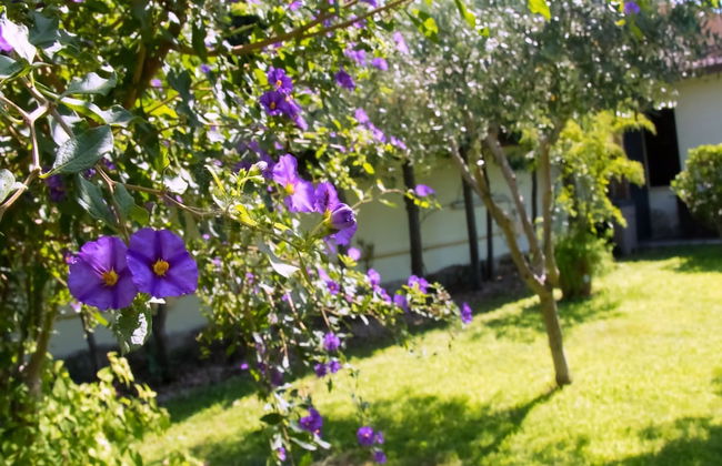 A Casa tua Ostia Antica - Photo 16