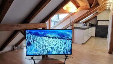 Baltmannsweiler cozy CHALET style apartment Wallbox & free parking no smoking - Foto 4