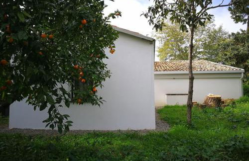 Farm Retreat in Sunny Calabria - Foto 7