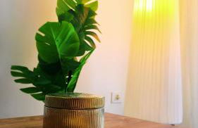 Propiedad San Salvador - Foto 20