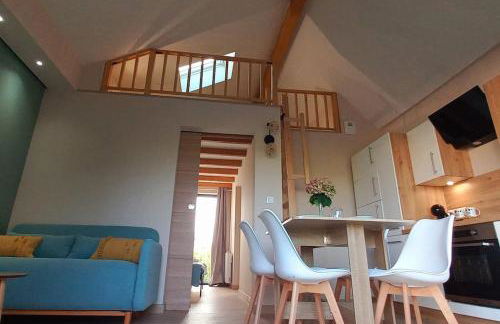 La Cabane de Shakespeare mini-maison à Haguenau - Photo 1