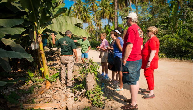 Tropical Fruit Tour - Photo 4, Listening to the explanations of the guide
