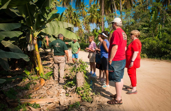 Tour de la fruta tropical - Foto 4