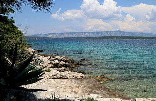 Secluded fisherman's cottage Cove Sveti Ante, Hvar - 24817 - Foto 4