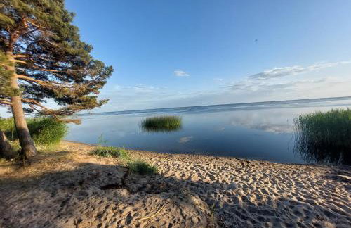 Sosnowa Polana okolice Wolin i Międzyzdroje - Photo 32