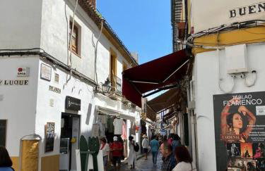 Precioso apartamento junto a la Mezquita. - Photo 30