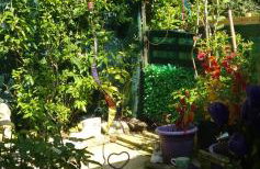 Kims Retreat - Foto 27