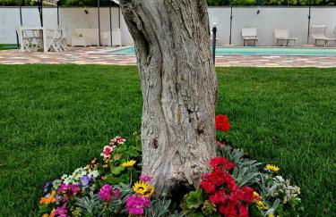 Villa Ginevra - Foto 13