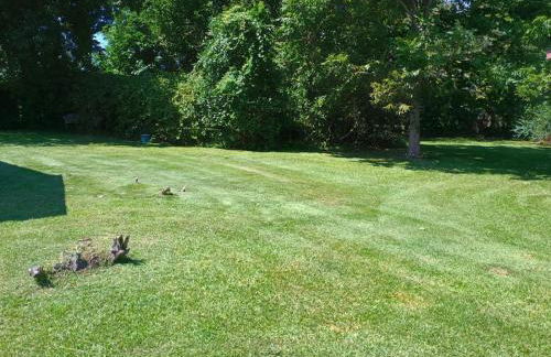 Serenity Retreat near Camp Lejeune & Beaches - Foto 9