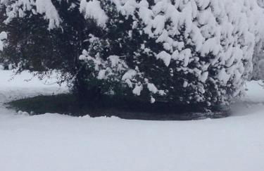 Dreams Valley - Foto 49