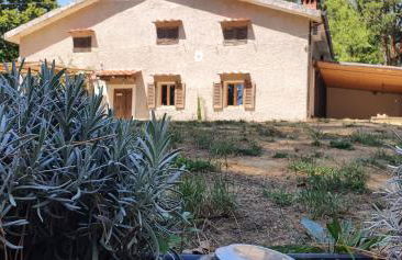 Stirpe nel Bosco - Allocco - Foto 12