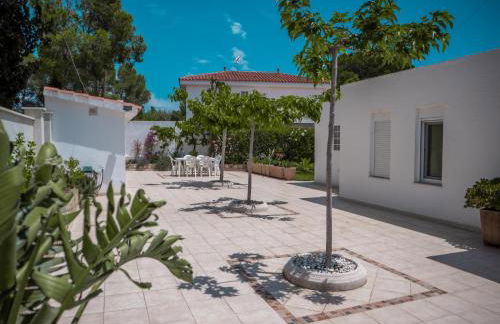 17 L Olivier - Foto 17