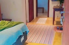 Estrela da noite - Foto 18