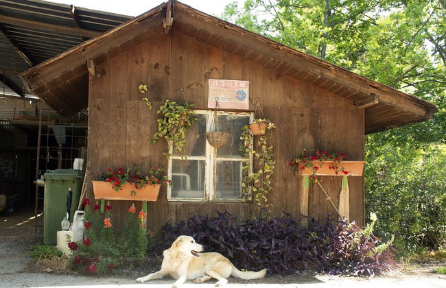 Beit Nofesh Waiss - Foto 28