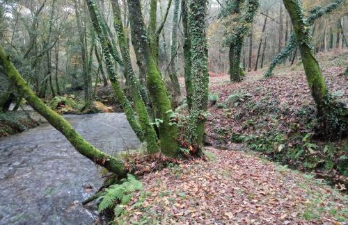 Casa silvosa - Photo 20