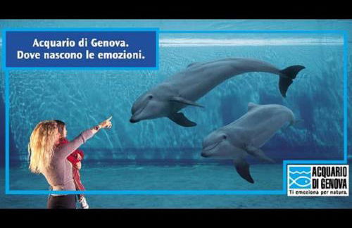 FIUMARA MALL Apartment - Foto 6