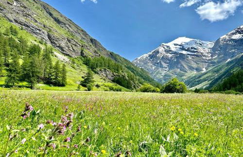 Chalet Les Cocales - Séjour et Nuitées - Appartement Pin Sylvestre - Foto 20