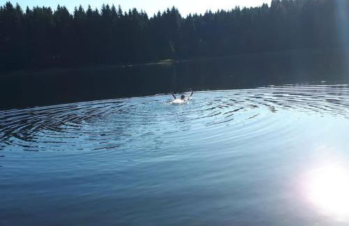 Holiday home in the Harz Mountains with 3 bedrooms - Foto 23