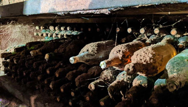 Wine Tour Through the Vienna Woods - Foto 2